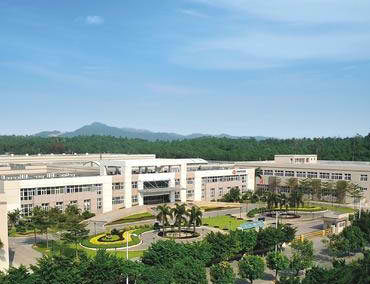 牛牛体育直播网